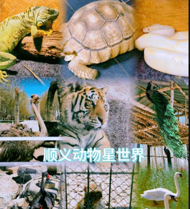 顺义动物星世界