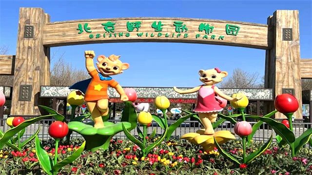 【北京野生动物园一日游】邀你共赴一场与自然的浪漫约会！